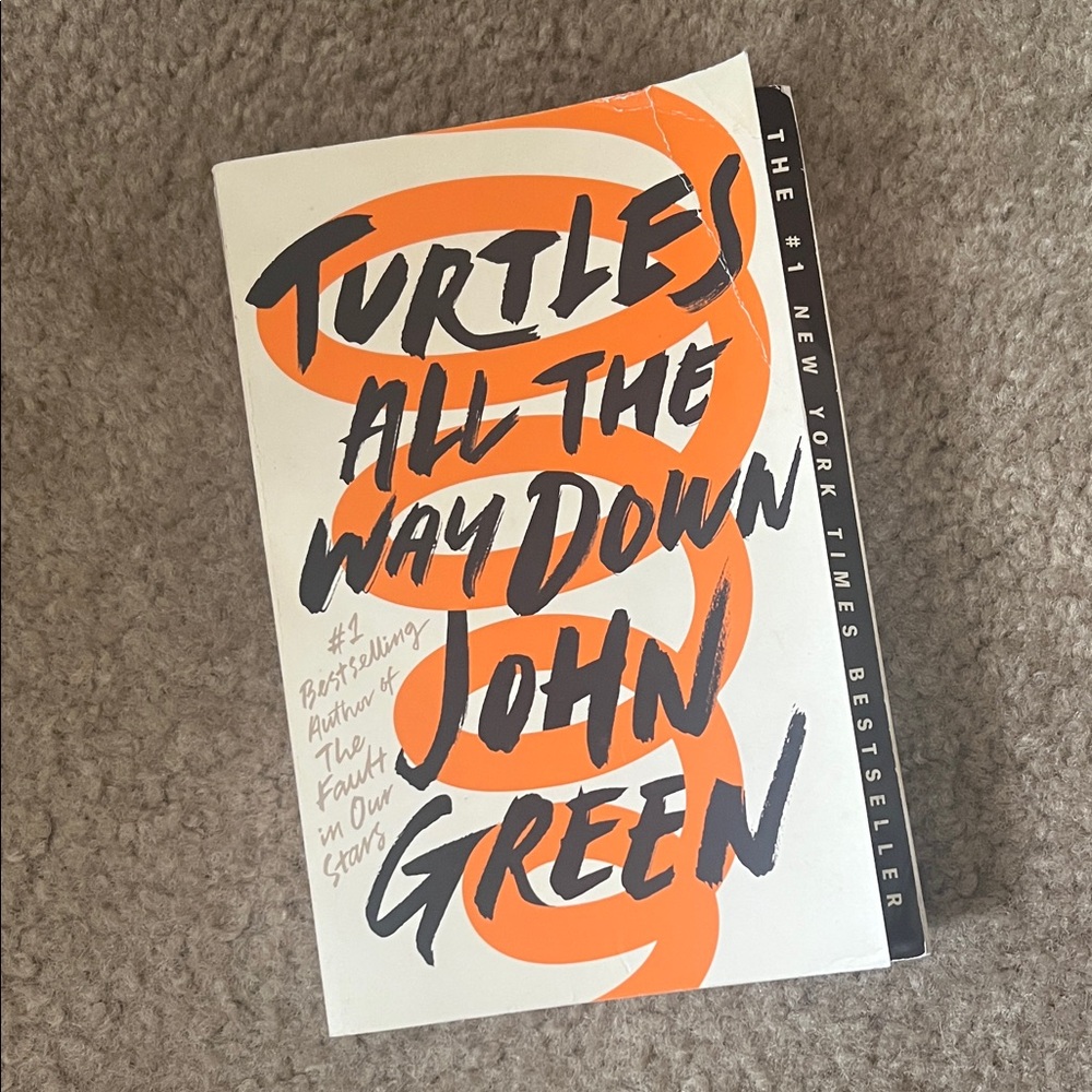 Turtles All the Way Down Book John Greene book in good condition